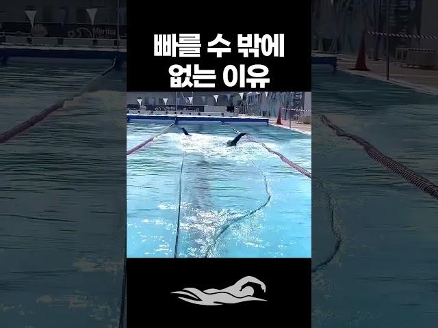 수영 선수들이 빠를 수 밖에 없는 이유