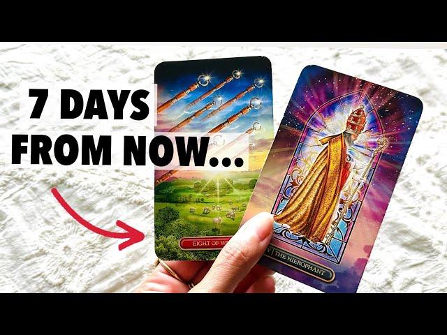 ALL SIGNS "HAPPENING THIS WEEK! WHAT'S COMING!" tarot message