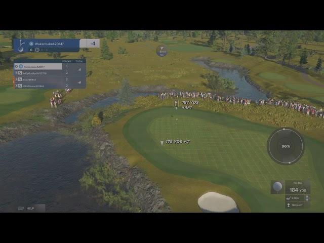 Hole in one