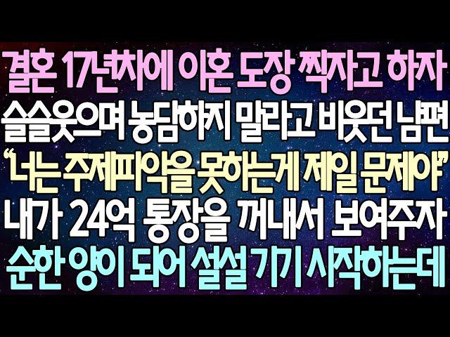 (반전 사연) 결혼 17년차에 이혼 도장 찍자고 하자 슬슬 웃으며 농담하지 말라고 비웃던 남편 내가 24억 통장을 꺼내서 보여주자순한 양이 되어 설설 기기 시작하는데 /사이다사연