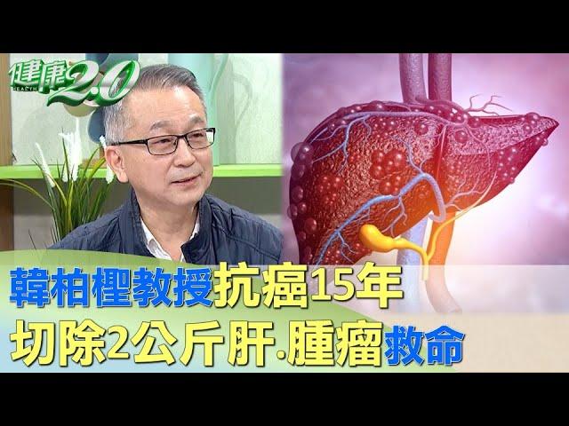 韓柏檉肝腫瘤19公分大 切除2公斤肝.腫瘤救命 健康2.0