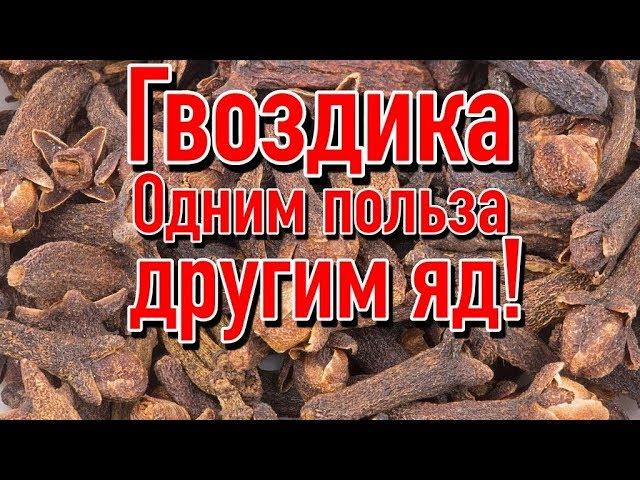 Польза и вред Гвоздики | Почему нельзя принимать гвоздику?