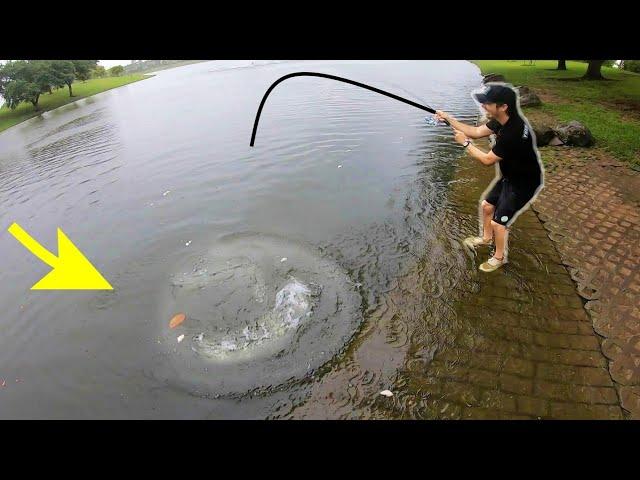 WE THOUGHT IT WAS A FISH!!! (MONSTER CREATURE)