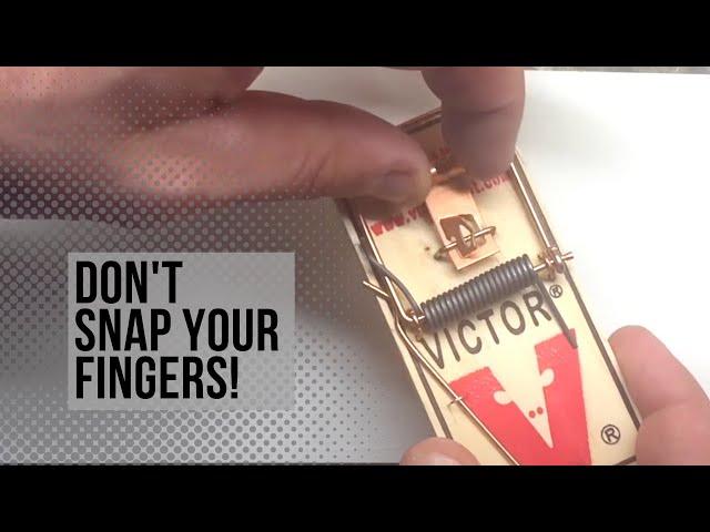 How to Set a Victor Mouse Trap