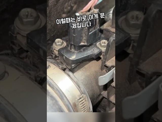 중고차 꿀팁