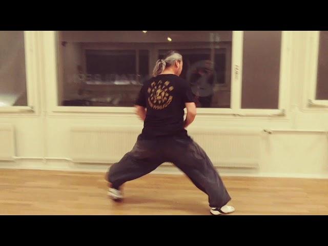 C h u a n   b a o - Kungfu Baji Bern