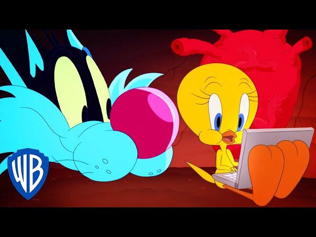 Looney Tunes | Tweety's New Home | @WB Kids