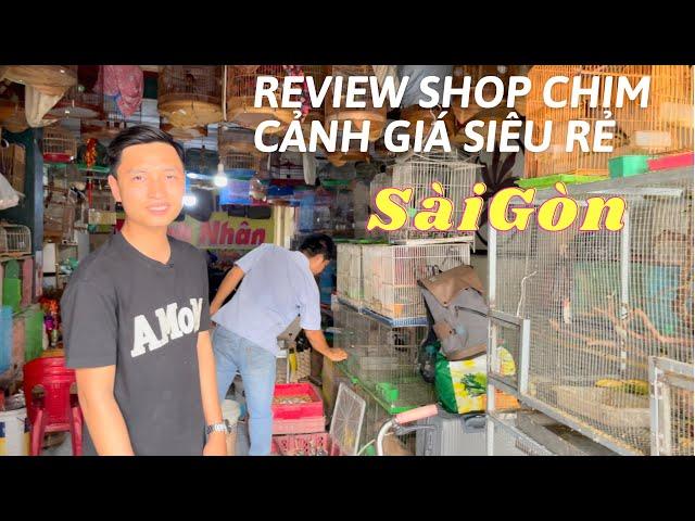 Review shop chim cảnh giá siêu rẻ tại Sài Gòn