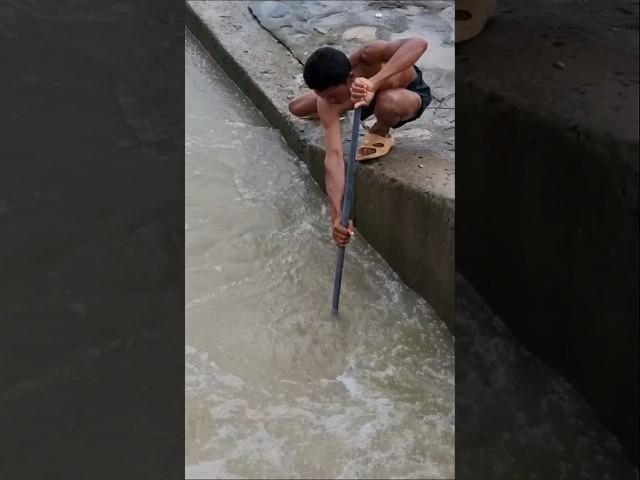 Real Life Fishing, Man Dip Net Fishing In The River [part 279] #fishing #fishinglife