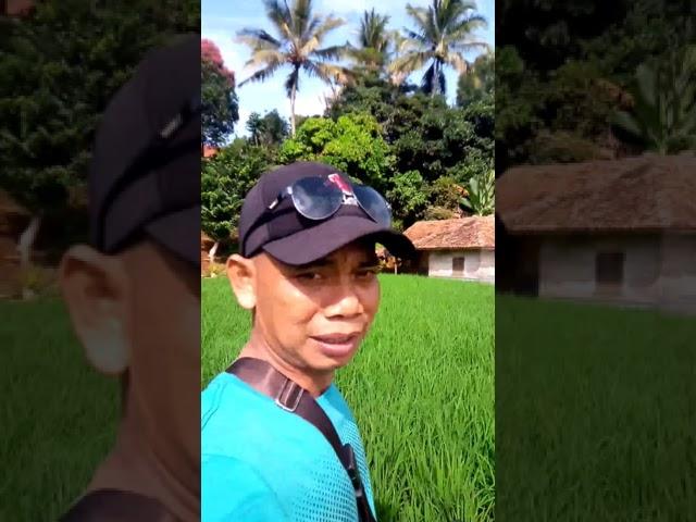 DESA LINGGAMUKTI