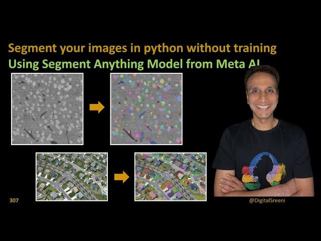 307 - Segment your images in python without training using Segment Anything Model (SAM)