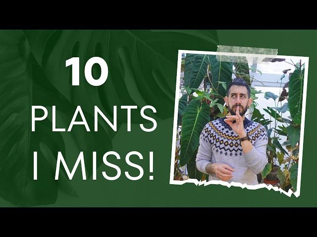  The Top 10 Plants I’d Grow Again in a Heartbeat! 