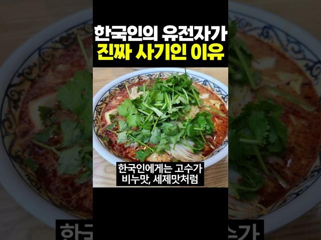 한국인의 유전자가 진짜 사기인 이유