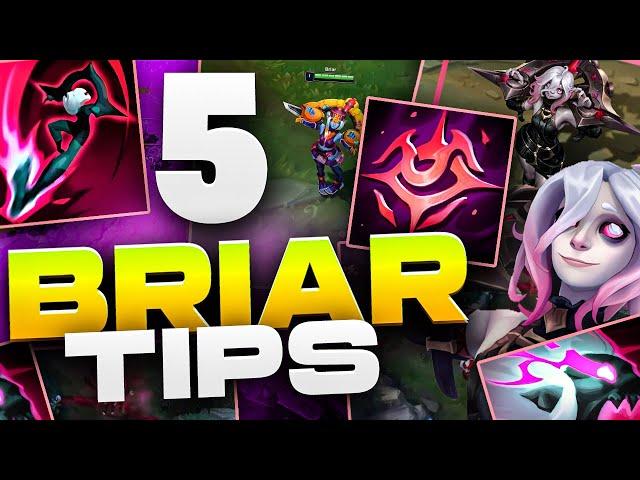 5 TIPS You NEED To Know For BRIAR! L0ganJG