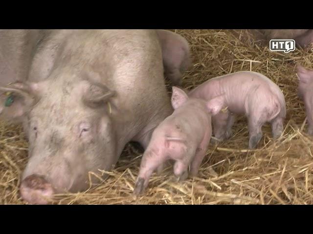 Genussland TV: Biohof Schickmaier