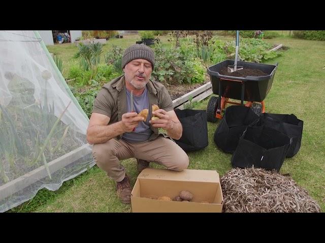 How to plant potatoes in grow pots