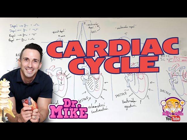 Cardiac Cycle