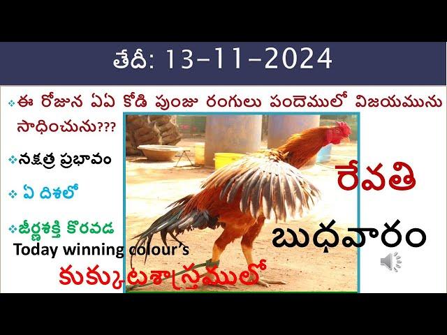 13 Nov 24 Today winning colours /Today winning colours/vision of kukkuta sastram in colours update