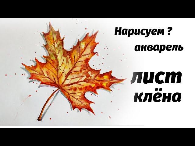 Как нарисовать кленовый лист акварелью. Мастер-класс Short watercolor painting tutorial: maple leaf