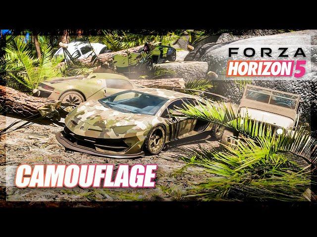 Forza Horizon 5 - Playing Camouflage! (Mini Games & Random Fun)