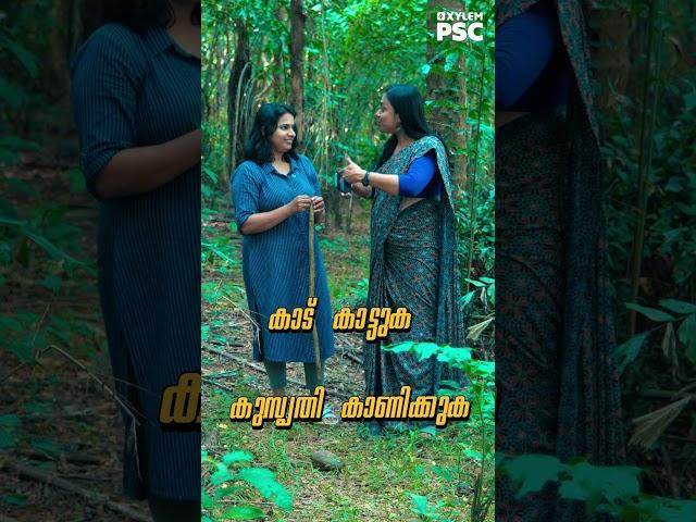 ഈ ഫോറെസ്റ്റ് മൊത്തം കാടാണല്ലോ | Xylem PSC