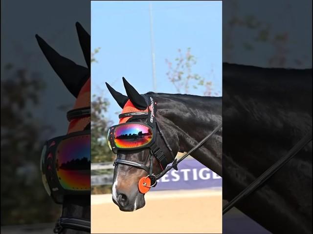 Защита для глаза лошади с eQuick EVYSOR @new-best-horse #конныйспорт #horse #лошади