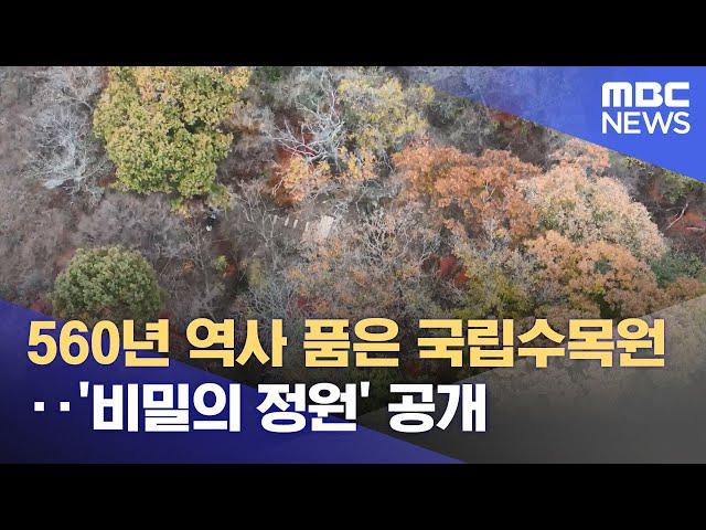 560년 역사 품은 국립수목원‥'비밀의 정원' 공개 (2024.11.25/뉴스투데이/MBC)