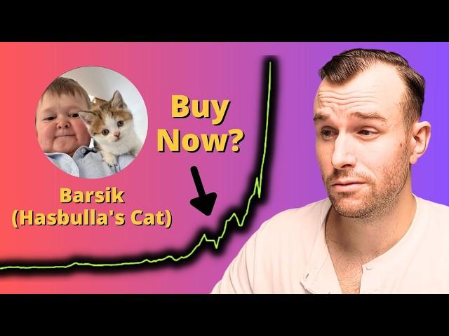 Why Barsik Is Up... ️ Hasbulla's Cat Crypto Token Analysis