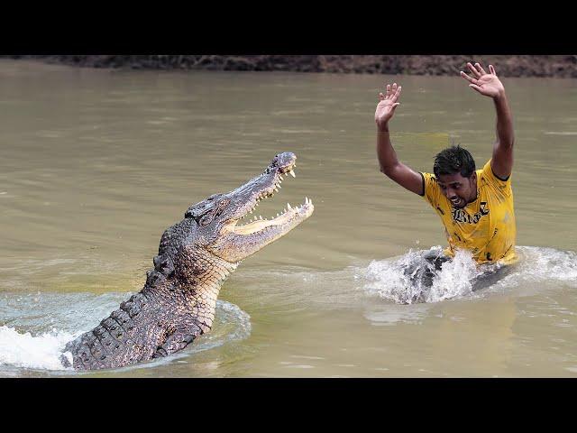 Crocodile Attack Man | Crocodile Attack Man fun made Movie