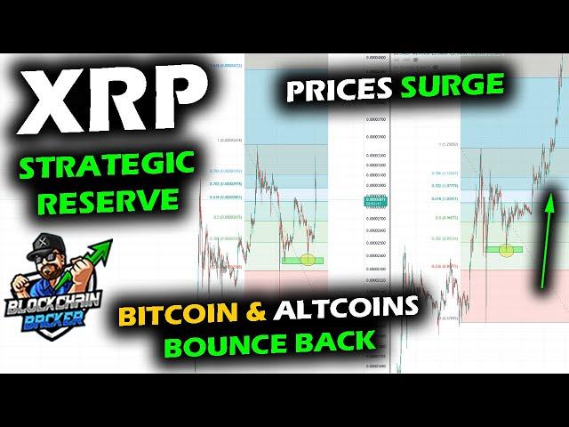 XRP Price Chart Surges on Crypto Strategic Reserve with SOL & ADA, Bitcoin Bounce Back with Altcoins