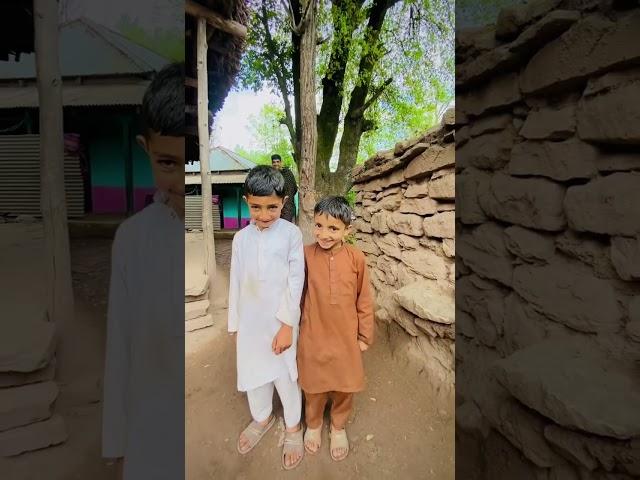 Village life in Kashmir/#youtubeshorts #shorts #short #youtubeshortvideo #kashmirlife #village