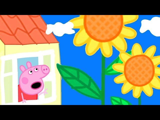 Peppa Pig Français  Des Fleurs Géantes Dans Le Jardin De Peppa  Dessin Animé Pour Bébé