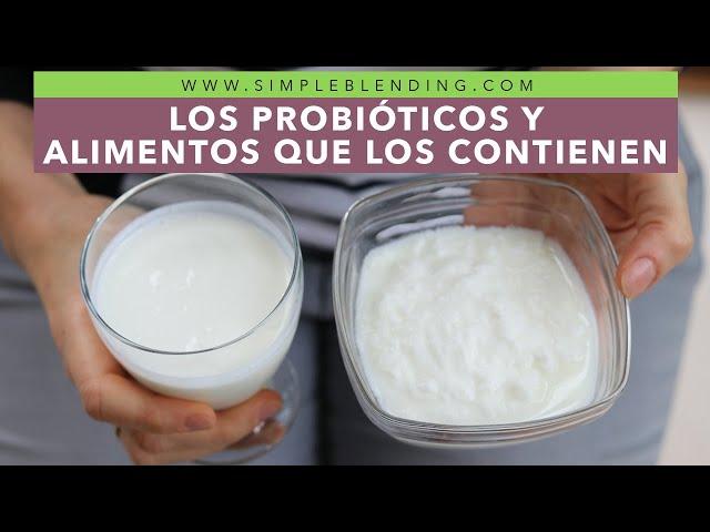 LOS PROBIÓTICOS Y LOS ALIMENTOS QUE LOS CONTIENEN | ¿Qué son los probióticos?