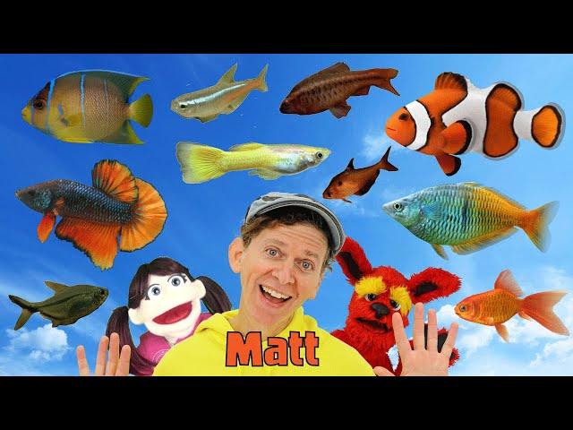 Fish | What Do You See? Song  | Find It Version | Dream English Kids