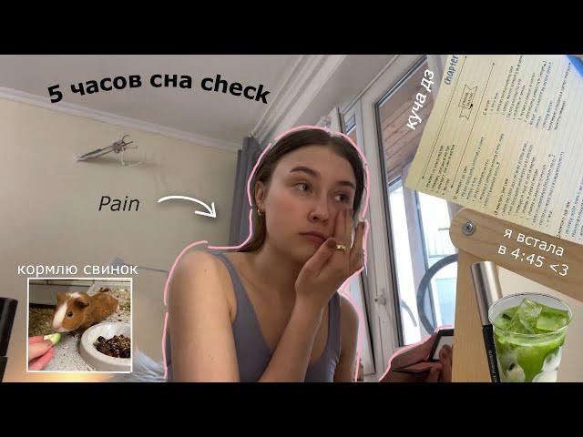 моя утренняя рутина в 4:45 УТРА ~продуктивно~ (влог + grwm)