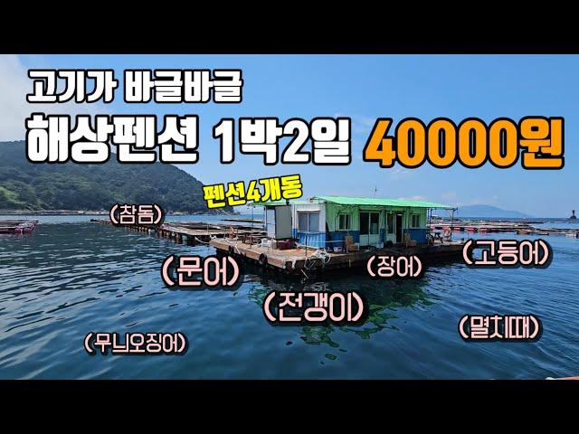 1박 4만원에 가능하다니 심지어 3인이상은 3만원ㅣ고기 막 나오는 좌대