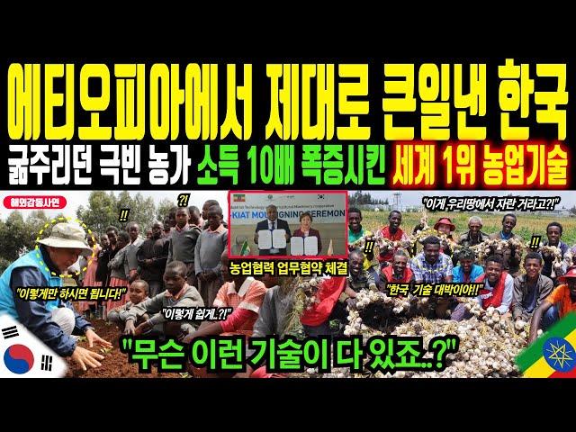 "에티오피아 극빈 농가 소득 10배 폭증시킨 한국 농업기술" 메마른 땅을 푸른 채소밭으로 바꾼 세계 1위 농업기술의 위력! 이제는 한국어까지 배우는 에티오피아인들ㅣ해외감동사연