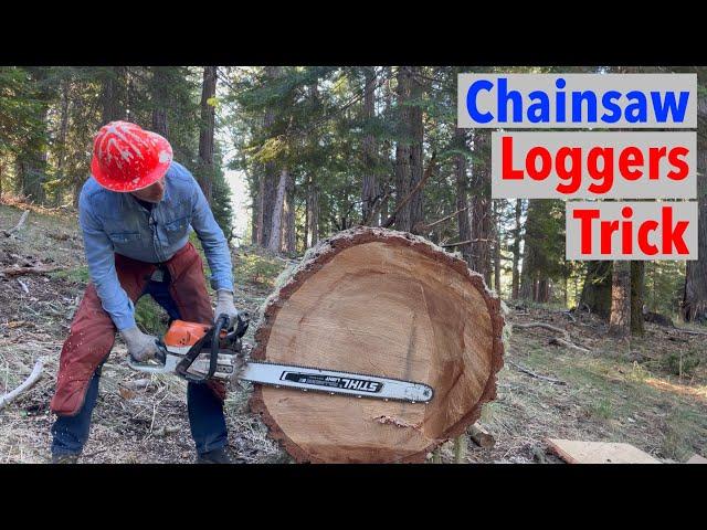 How Loggers Buck Large Logs Square & Flush