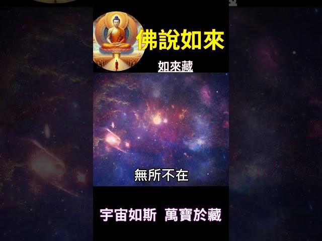 佛說如來 如來藏：宇宙如斯 萬寶於藏 #開悟 #悟道