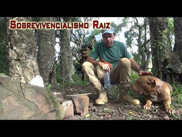 Bushcraft Hiking and Barbecuing - T2024-E01