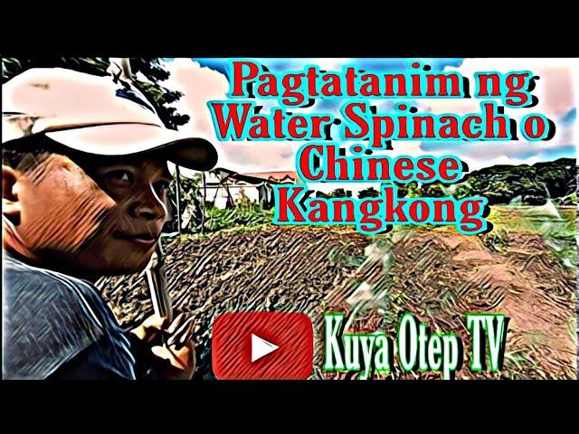 Magtatanim kami ng Chinese Kangkong (Water Spinach)/ Kuya Otep TV