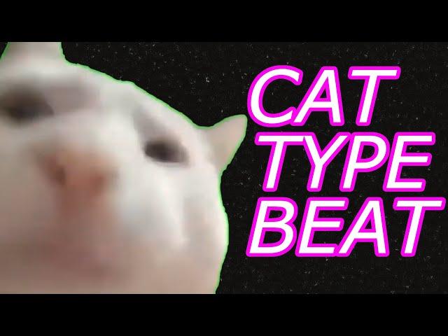 I made a beat with cat noises. (cat meow rap meme original song)