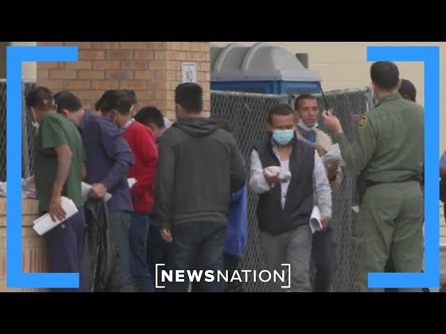 NGOs use American tax dollars to relocate migrants | Morning in America