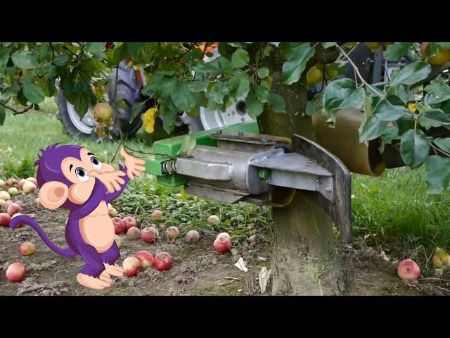 Curious Tots: How Apple Juice is Made | Fun educational documentary videos for toddlers & kids