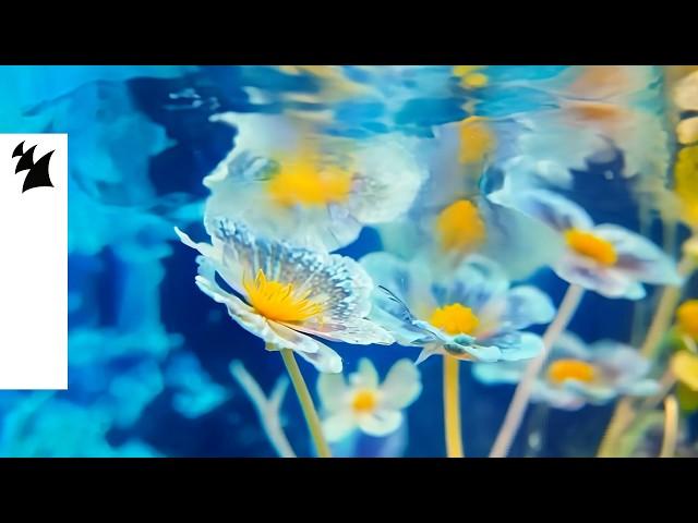 Joris Voorn & Jan Blomqvist - Flora (Official Visualizer)