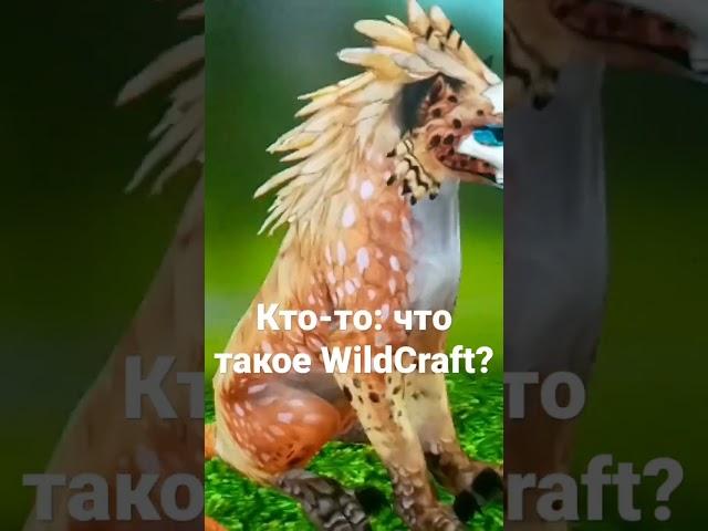 WildCraft : что такое WildCraft: моя идея