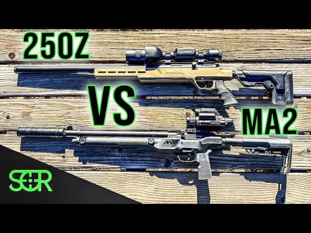 Who Will Be The Next KING OF BUDGET? Barra 250Z vs Macavity Arms MA2!