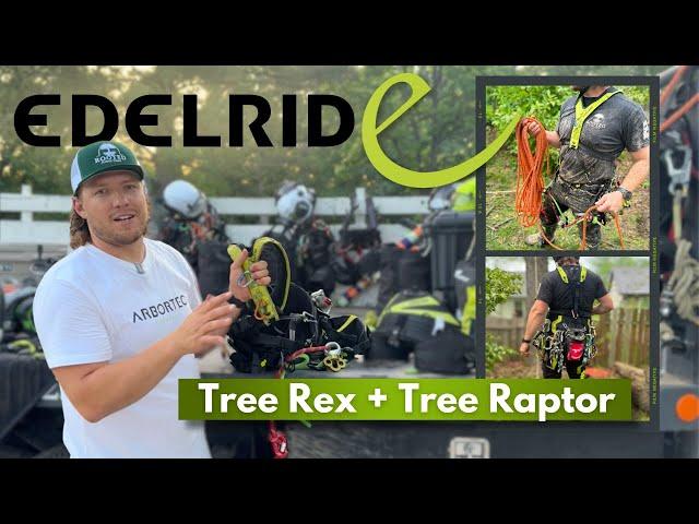 Edelrid Tree Climbing Saddle Review - Tree Rex & Tree Raptor