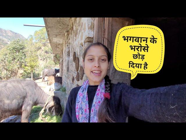 Now we can only trust God  || Pahadi Lifestyle Vlog || Monika Kedarghati Vlogger ||