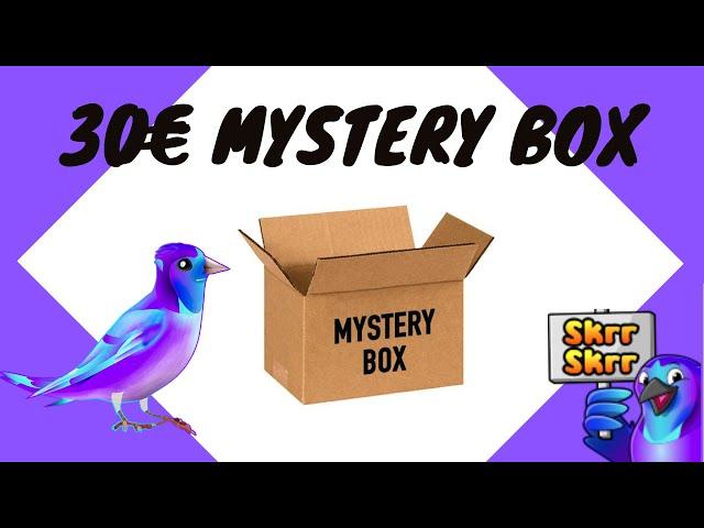 30€ Super Epic Merch Mystery Box B-Ware opening Deutsch/German Darkii95